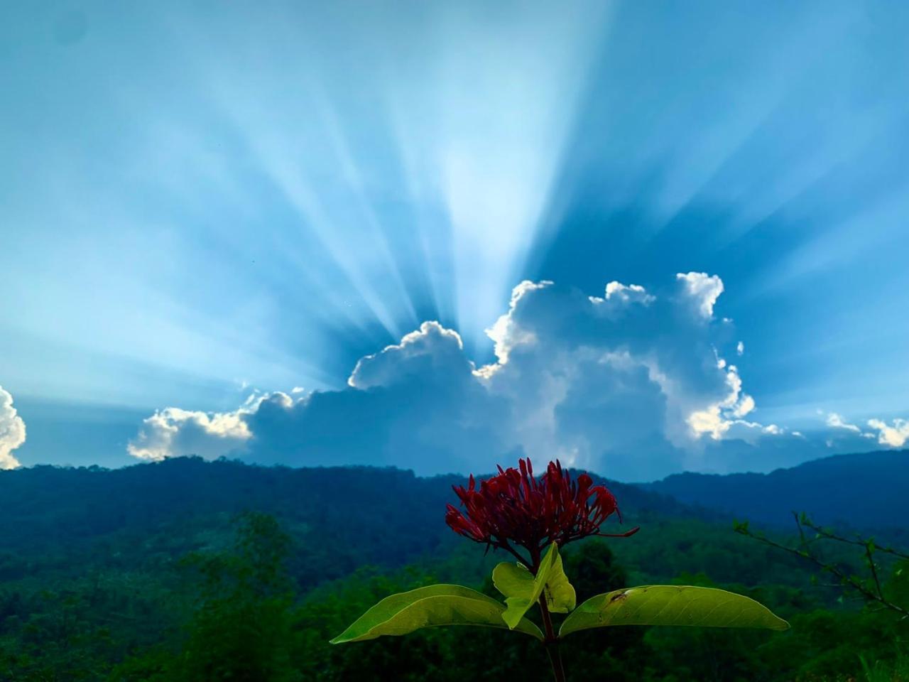 Pu Luong Cuisine Garden Homestay Lang Bang Exterior foto